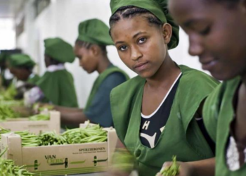 Mercado de trabalho global continuará se deteriorando, aponta OIT