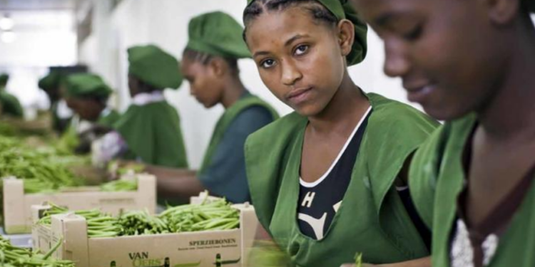 Mercado de trabalho global continuará se deteriorando, aponta OIT