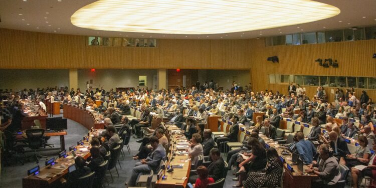 Cooperativismo: comitiva brasileira representa o país na ONU