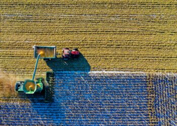 Crescimento no agronegócio impulsiona vendas de consórcios agrícolas