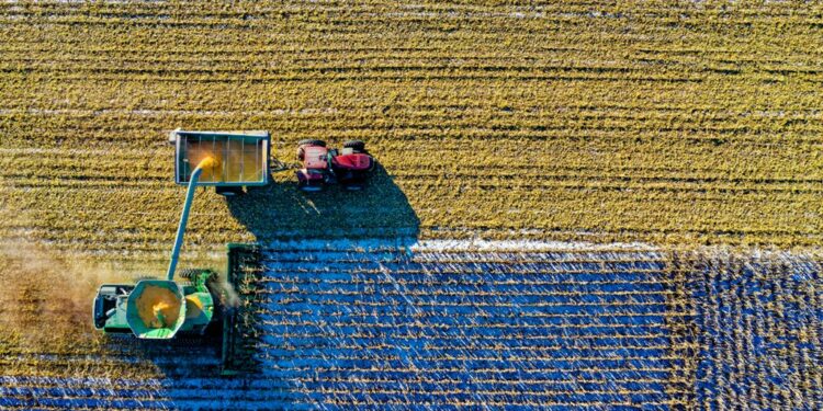 Crescimento no agronegócio impulsiona vendas de consórcios agrícolas