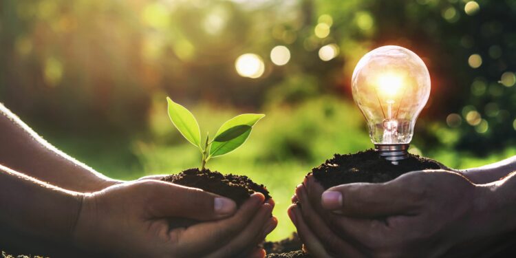 Energias Renováveis serão um dos destaques na COP27