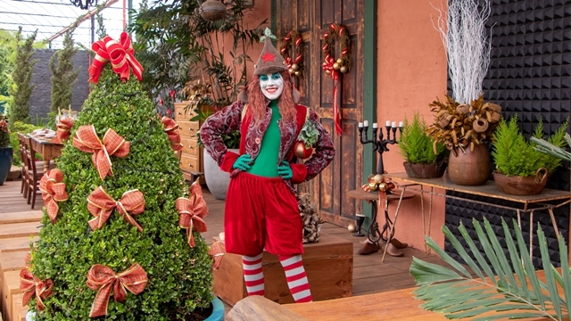 ‘Natal de Holambra’ tem ínicio dia 25 de novembro