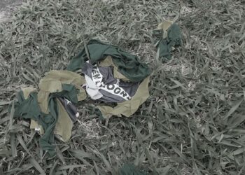 De onde vem tanto rancor? – Luis Felipe Valle