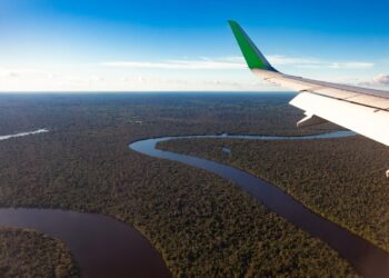 BBF investe em tecnologia no Brasil para biocombustíveis