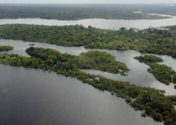 Região amazônica: apreensões na região tiveram alta de 133% - Foto: Arquivo