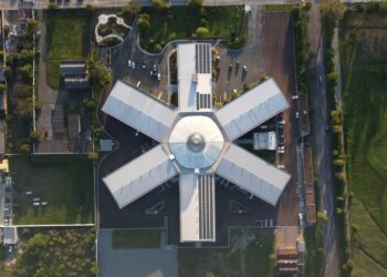 Cemitério promove feira de adoção de pets e ação sustentável