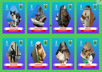Prefeitura de Campinas aproveita o clima da Copa do Mundo e está lançando a campanha “Copa Pet de Adoção Dpbea" - Foto: Divulgação PMC