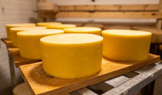 Lei permitiu, por exemplo, que produtores artesanais de queijos ampliem a quantidade de mercadoria em até cinco vezes, sempre submetidos às inspeções sanitárias Foto: Divulgação