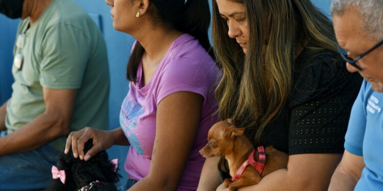 O atendimento na clínica veterinária é gratuito e realizado por ordem de chegada. Foto: Carlos Bassan/PMC