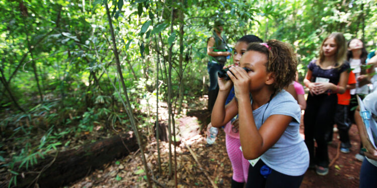Comemoração na Mata de Santa Genebra terá passeios e música neste sábado