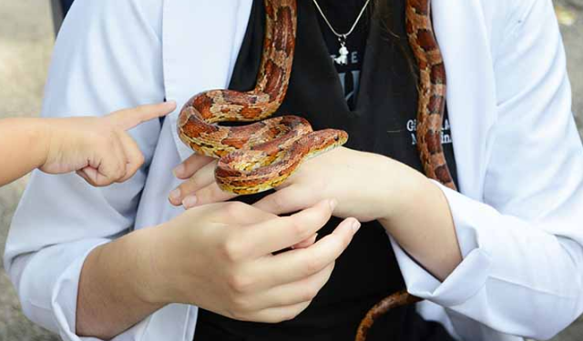 Bosque Interativo oferece educação ambiental neste sábado em Campinas