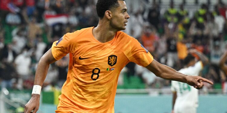 Holanda derrota o Senegal com dois gols no final