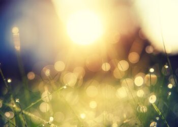 Artigo: Feno de luz, lágrimas em flor – por Evaristo de Miranda