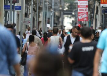 Multidão caminha por rua da Capital paulista: Conselho Gestor recomenda uso de máscaras em farmácias e no transporte público Foto: Tânia Rego/Agência Brasil