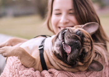 DogHero conecta tutores de pets a anfitriões- Foto: Divulgação