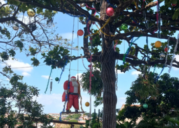 Árvore de Natal da Rua Serra D’Agua, no Jardim São Fernando, em Campinas: chama minha atenção e traz alegria - Fotos: Kátia Camargo/Hora Campinas