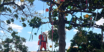 Árvore de Natal da Rua Serra D’Agua, no Jardim São Fernando, em Campinas: chama minha atenção e traz alegria - Fotos: Kátia Camargo/Hora Campinas
