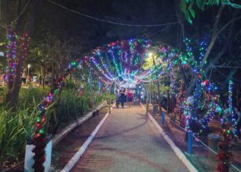 O Natal Sustentável ocorre no Parque Socioambiental Irmã Dorothy Stang, no Jardim Nossa Senhora de Fátima. Foto: Divulgação
