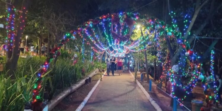 O Natal Sustentável ocorre no Parque Socioambiental Irmã Dorothy Stang, no Jardim Nossa Senhora de Fátima. Foto: Divulgação