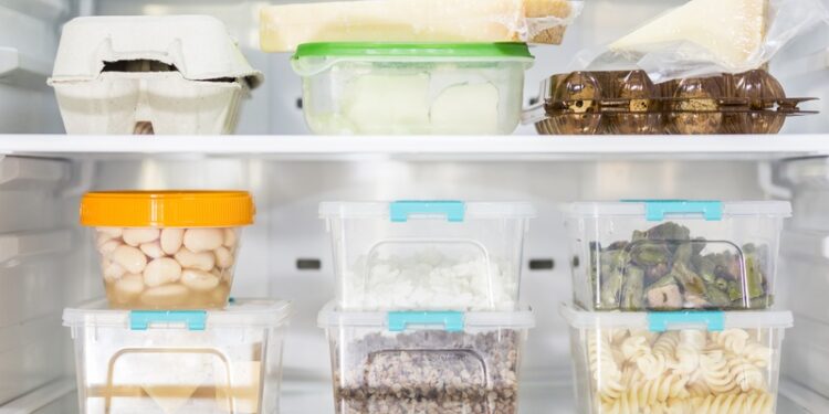 Para evitar desperdício, congelar alimentos é uma boa opção para conservar o que sobrou das refeições de Natal e Ano Novo Foto: Divulgação