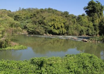 Jaguariúna se destacou entre municípios da RMC ao vencer dois prêmios ambientais - Foto: Divulgação/Prefeitura de Jaguariúna