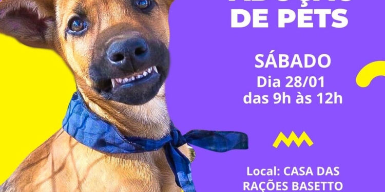 Valinhos realiza feira para adoção responsável de animais