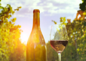 Vinhos leves são ideais para o consumo no verão