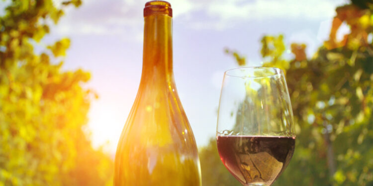 Vinhos leves são ideais para o consumo no verão