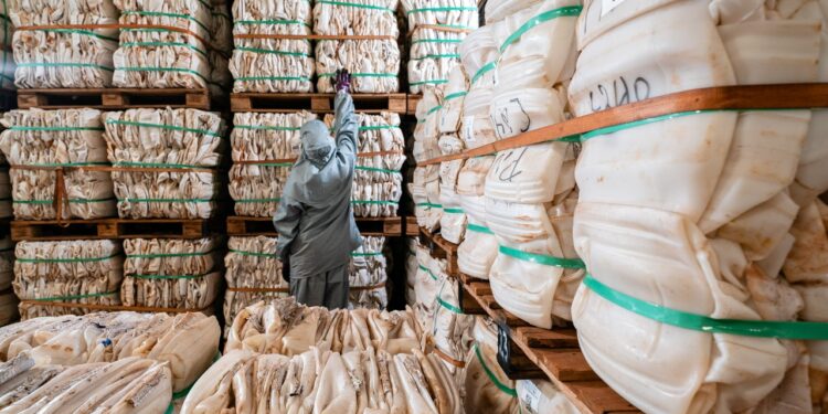 Sistema Campo Limpo supera 700 mil t de embalagens destinadas corretamente