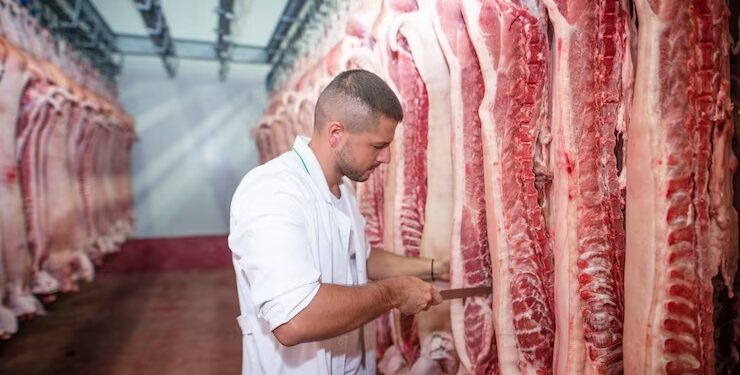 Uso de amônia requer aplicação de medidas preventivas