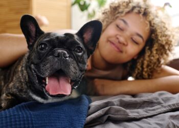 Mercado pet em crescimento: Brasil é o 3º país com mais pets