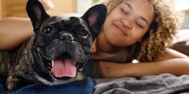 Mercado pet em crescimento: Brasil é o 3º país com mais pets