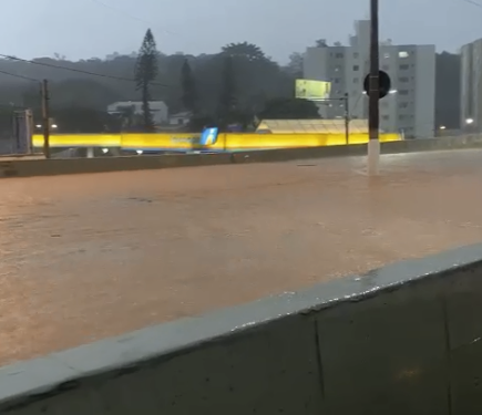 Laurão inundado Foto: Reprodução/vídeo