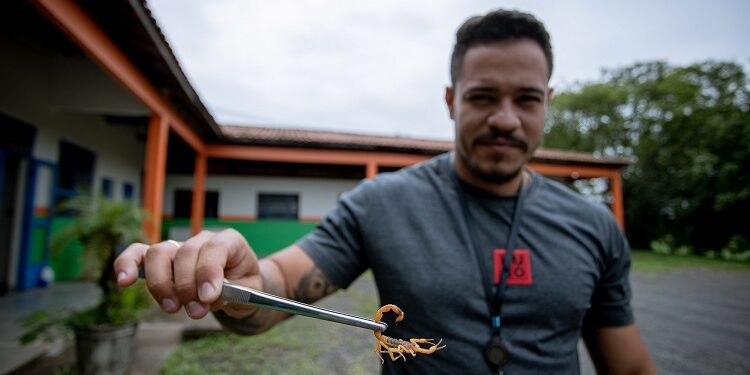 Matheus Santos, coordenador do CCZ, lembra que em regiões alagadas podem aparecer vários peçonhentos, entre eles o escorpião Foto: Isabela Borghese/Divulgação