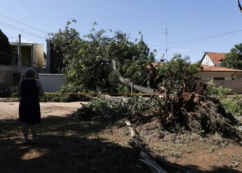 Nos meses de dezembro e janeiro foram registradas 498 quedas de árvores em Campinas. Foto: Leandro Ferreira/Hora Campinas/Arquivo