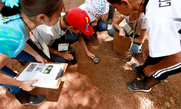 Mata de Santa Genebra terá atividades para famílias durante férias