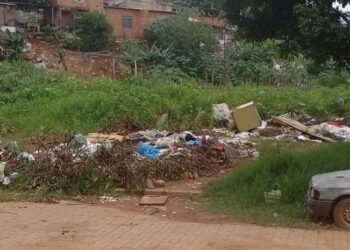 Apesar de elogiar o trabalho da Prefeitura, moradora do São Marcos afirma que o volume de lixo próximo ao córrego ainda é alto Fotos: Josiara Araujo Leopoldino