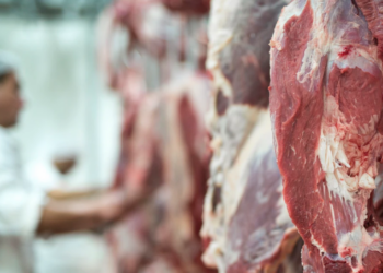 Desde 2019 o Brasil não tinha uma habilitação de plantas para exportação de carne para a China - Foto: Freepik