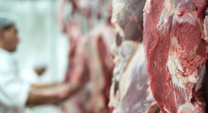 Desde 2019 o Brasil não tinha uma habilitação de plantas para exportação de carne para a China - Foto: Freepik