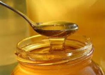 Selo 002 foi entregue para a empresa Balmel Produtos da Abelha, que vai produzir mel, própolis, geleia real e pólen apícola, entre outros produtos - Foto: Divulgação PMC