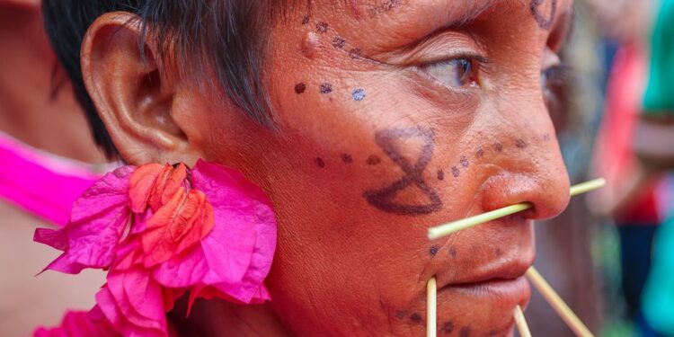 Índio yanomami em Roraima: ministra informa que garimpeiros estão deixando local - Ricardo Stucker/PR/Divulgação