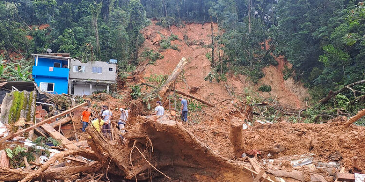 Deslizamento carregou árvores e casas em São Sebastião. Foto: Defesa Civil