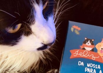 Marca gaúcha une influenciadores e empresas em prol da causa animal