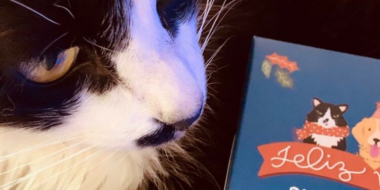 Marca gaúcha une influenciadores e empresas em prol da causa animal