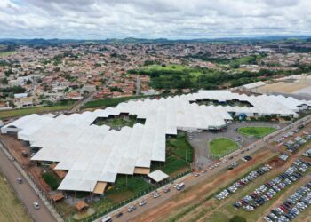 Feira apresenta soluções para cafeicultura sustentável