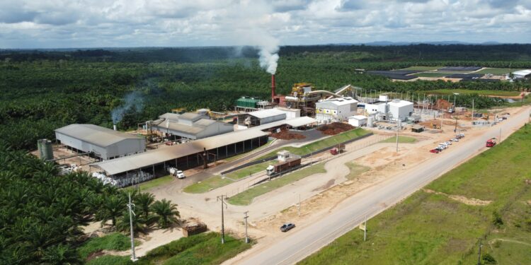 BBF emite debêntures para projetos na região amazônica
