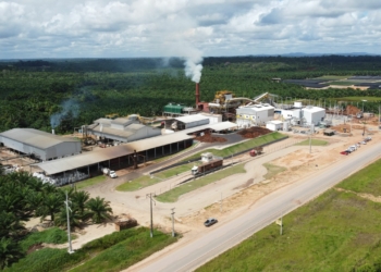 BBF emite debêntures para projetos na região amazônica