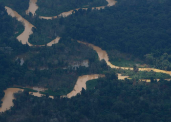Pelos cálculos da organização, quase todo o desflorestamento (95%) se deu como consequência do avanço da agropecuária - Foto: Fernando Frazão/Agência Brasil