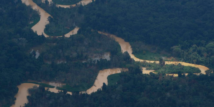 Pelos cálculos da organização, quase todo o desflorestamento (95%) se deu como consequência do avanço da agropecuária - Foto: Fernando Frazão/Agência Brasil